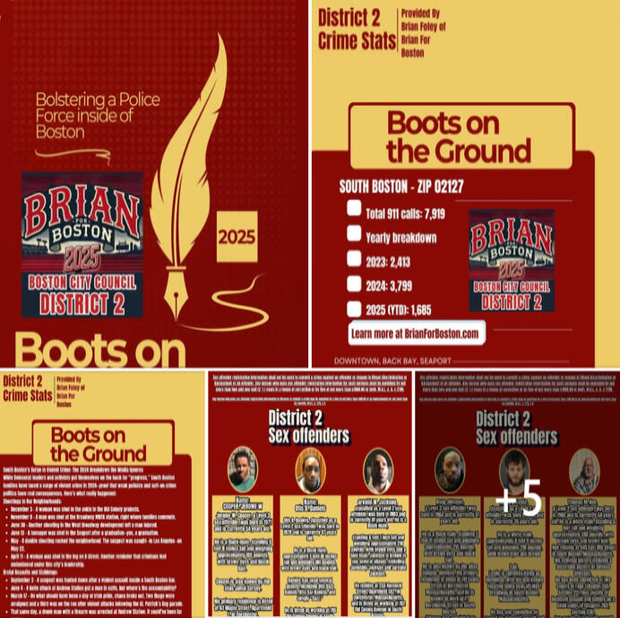 District 2 Crime Statistics -The safety of our families is not negotiable, and the silence from our so-called leaders ends now.